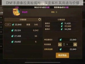 DNF手游泰拉奥秘揭秘：深度解析其用途与价值