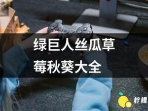 新鲜采摘的向日葵草莓绿巨人丝瓜黑料，口感鲜美，营养丰富