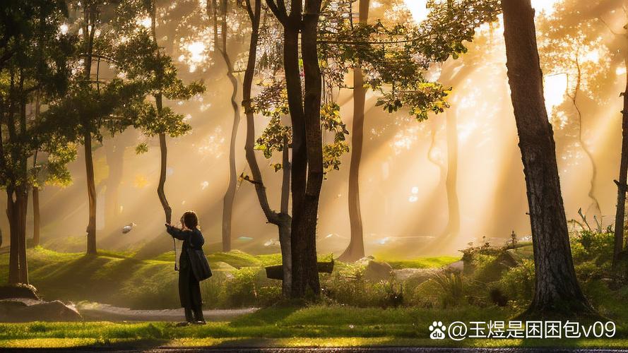 在森林秘境三部曲在线观看中感受神秘与惊奇