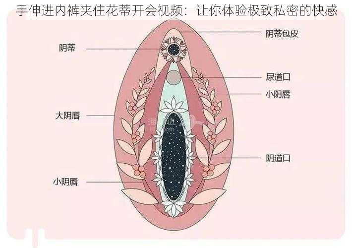 手伸进内裤夹住花蒂开会视频：让你体验极致私密的快感