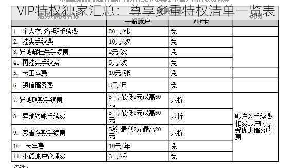 VIP特权独家汇总：尊享多重特权清单一览表