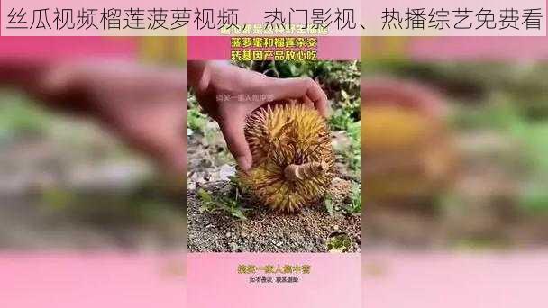 丝瓜视频榴莲菠萝视频，热门影视、热播综艺免费看