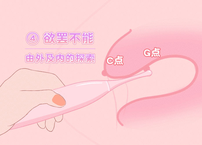 女教师～婬辱の教室 XXX 动态图：私密课程的秘密