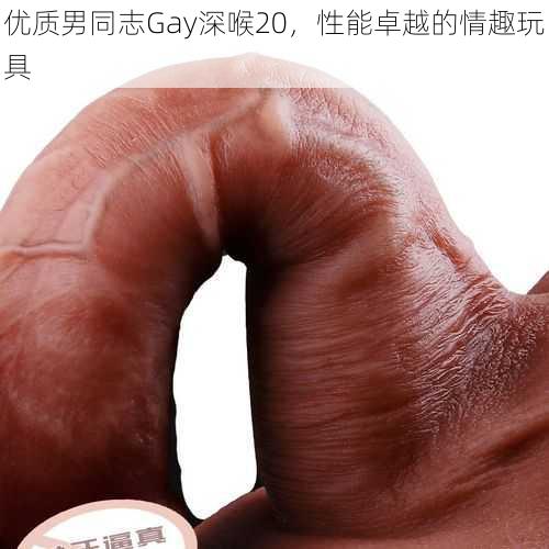 优质男同志Gay深喉20，性能卓越的情趣玩具